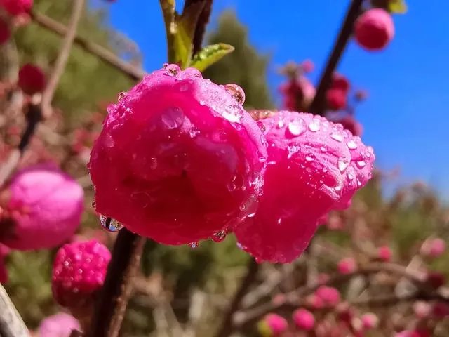 为什么糖水片往往在朋友圈有很高的点赞率，但却得不到摄影大咖们的认可？