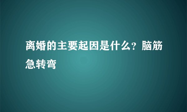 离婚的主要起因是什么？脑筋急转弯