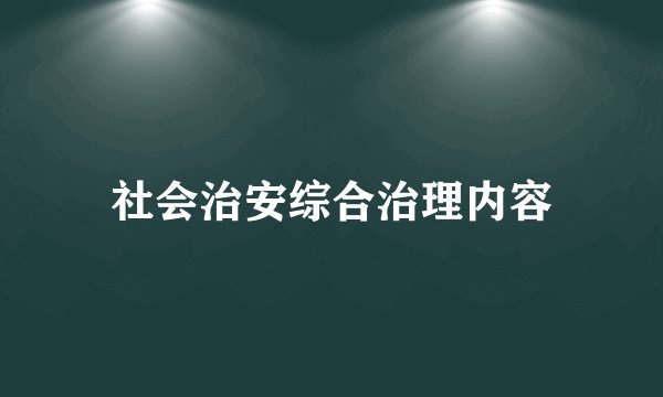 社会治安综合治理内容