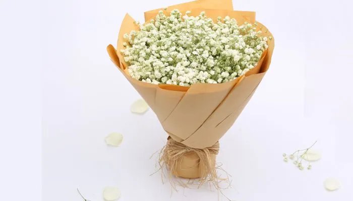 情人节送什么花给女朋友最合适 第一次送花给女朋友送什么花