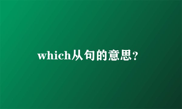 which从句的意思？