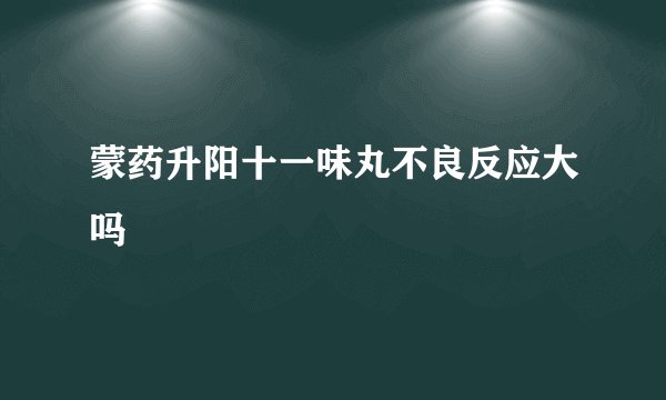 蒙药升阳十一味丸不良反应大吗