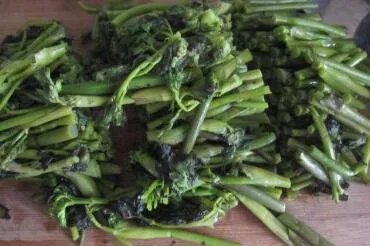 猫爪菜怎么做好吃