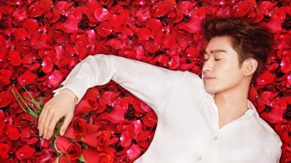 如若巴黎不快乐的演员都有哪些？