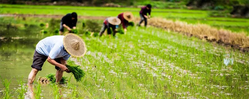 耕地的承包期为多少年 我国耕地的承包期为多少年