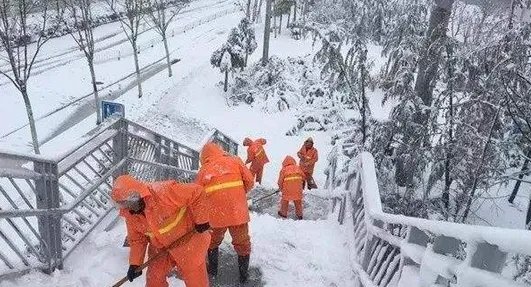 安徽遭遇持续暴雪后迎来寒潮导致了什么后果?