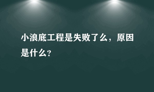 小浪底工程是失败了么，原因是什么？