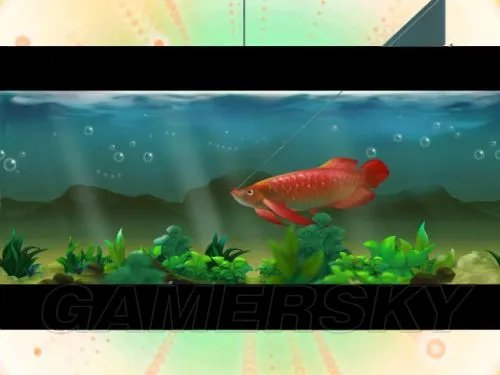 《侠客风云传》钓虹鲤攻略 侠客风云传怎么钓虹鲤