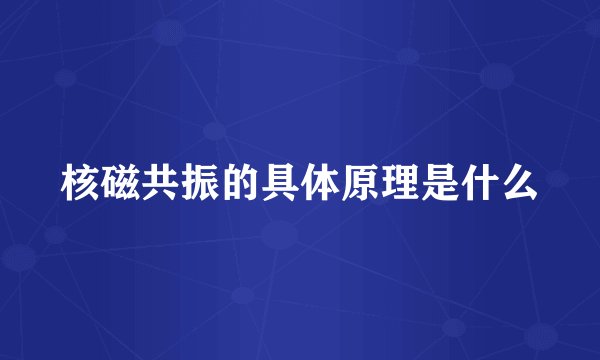 核磁共振的具体原理是什么