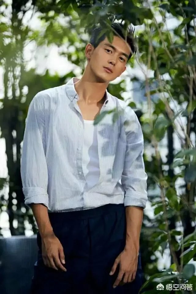 陈瑶王浩小说在线阅读