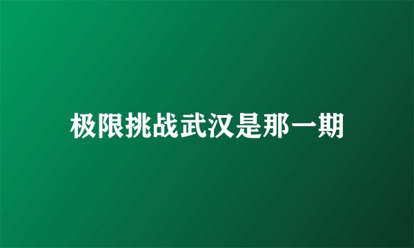 极限挑战武汉是那一期