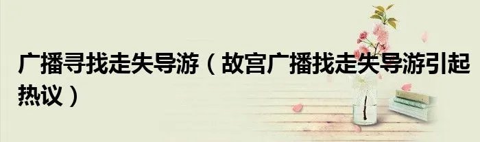 广播寻找走失导游（故宫广播找走失导游引起热议）