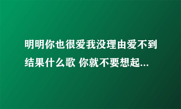 明明你也很爱我没理由爱不到结果什么歌 你就不要想起我完整歌词