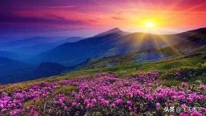 你相信爱的越深伤的越痛吗？