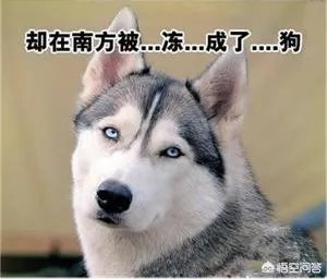 在龙岩生活是一种什么样的体验?