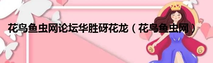 花鸟鱼虫网论坛华胜砑花龙（花鸟鱼虫网）