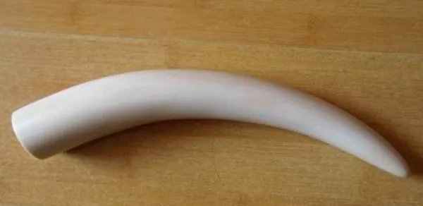 购买象牙会判刑吗？