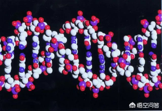 新概念武器有哪几种分类?