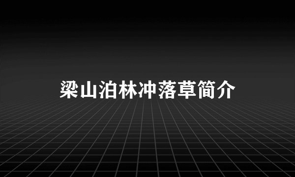 梁山泊林冲落草简介