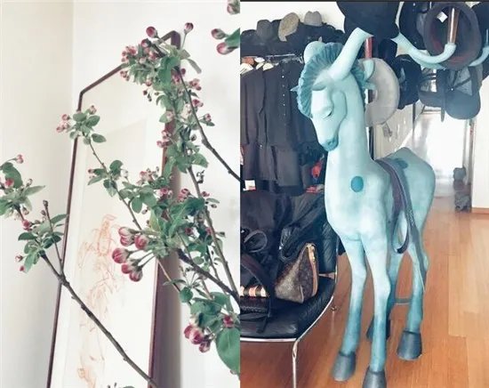 陈坤雅致豪宅内景曝光 网友留言要住进家里