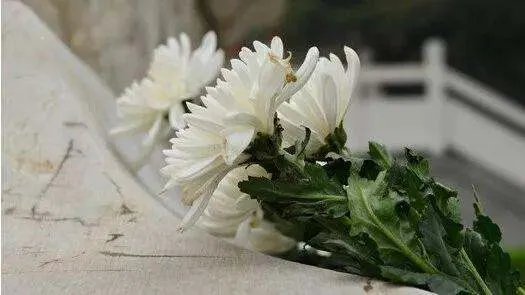 怀念亲人逝世的诗句是什么？