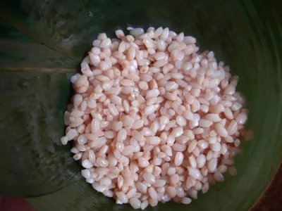 煮粽子需要多长时间，煮粽子需要多长时间知识