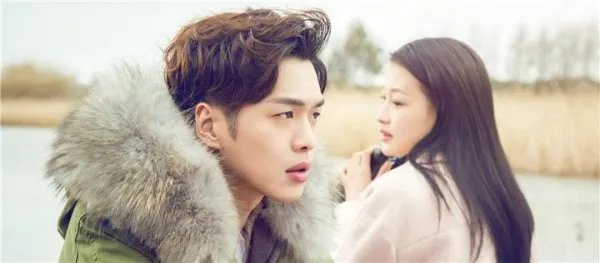 十五年等待候鸟电视剧百度百科