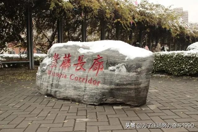 保定金融学院都有哪些本科？