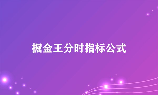 掘金王分时指标公式