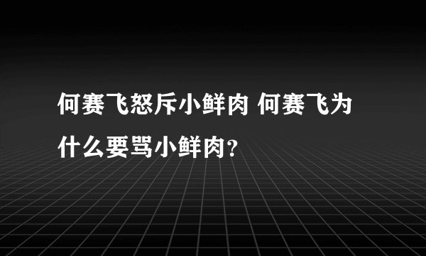 何赛飞怒斥小鲜肉 何赛飞为什么要骂小鲜肉？