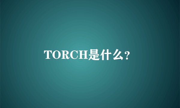 TORCH是什么？