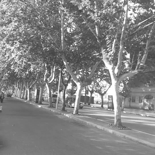 你有哪些意境壁纸？