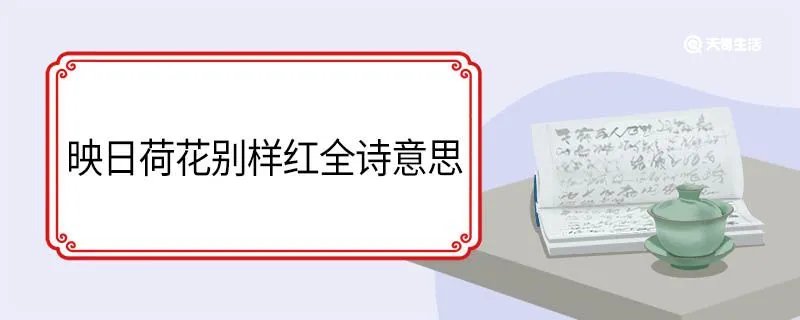 映日荷花别样红全诗意思