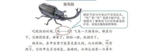 昆虫备忘录怎么写