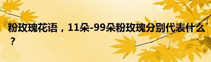 粉玫瑰花语，11朵-99朵粉玫瑰分别代表什么？