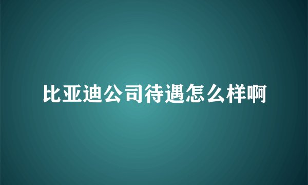 比亚迪公司待遇怎么样啊