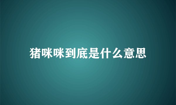猪咪咪到底是什么意思