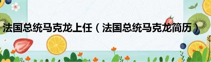 法国总统马克龙上任（法国总统马克龙简历）