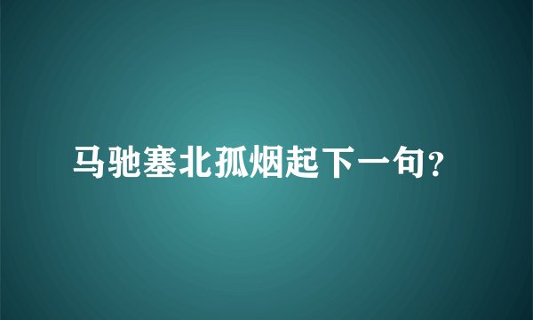 马驰塞北孤烟起下一句？