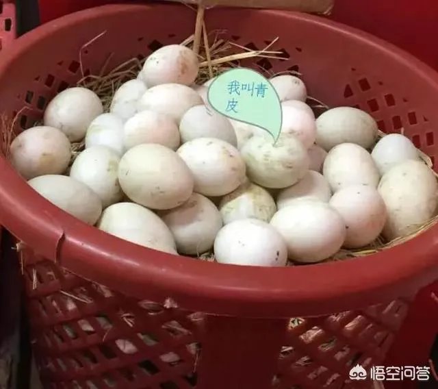 如何腌制咸鸭蛋？