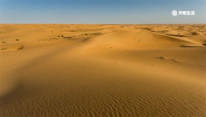 阿拉善是什么意思