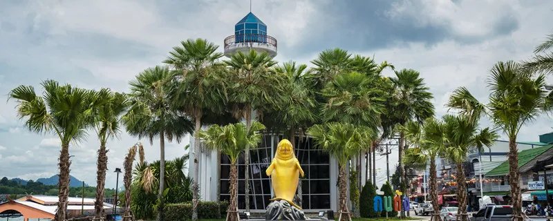 儒艮为什么叫美人鱼 儒艮是美人鱼吗