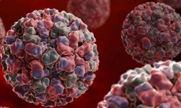 哈尔滨16名学生感染诺如病毒，传染源是否已经查实？