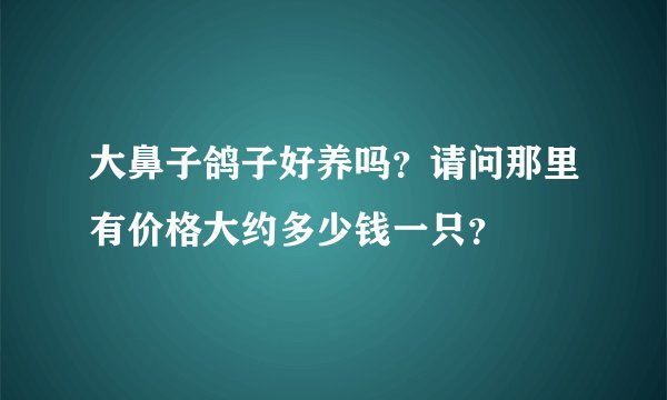 大鼻子鸽子好养吗？请问那里有价格大约多少钱一只？
