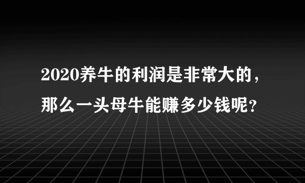 2020养牛的利润是非常大的，那么一头母牛能赚多少钱呢？