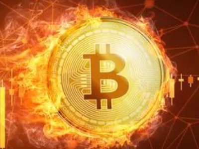 比特币跌破8000美元，当初的比特币有多疯狂？