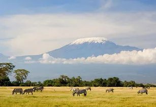 非洲最高峰发生大火，哪些地区曾经发生过大火？
