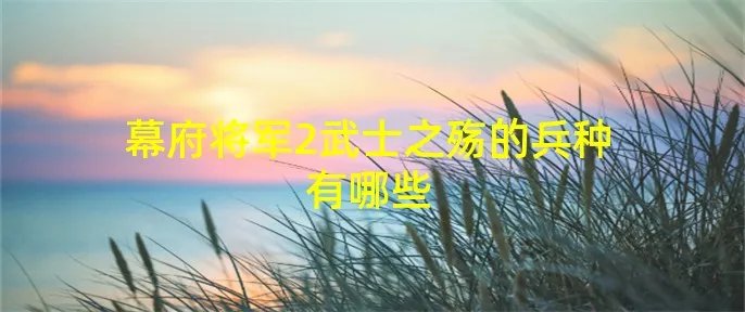 幕府将军2武士之殇的兵种有哪些