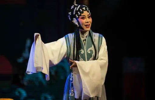 豫剧名家李树建能代表豫剧吗？