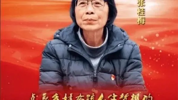 张桂梅人物事迹简短